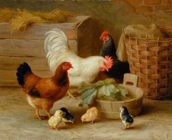 Cocks 106, unknow artist